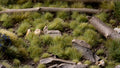 GamersGrass - Green 4mm (wild)