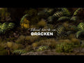 GamersGrass - Laser Plants - Bracken