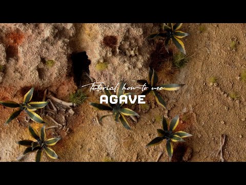 GamersGrass - Laser Plants - Agave