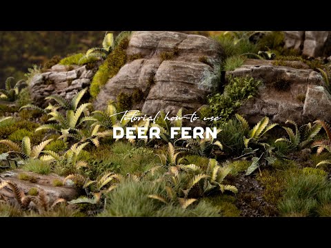 GamersGrass - Laser Plants - Deer Fern