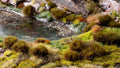 GamersGrass - Swamp XL 8mm